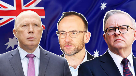 Preferential Voting: What The Fk That Means