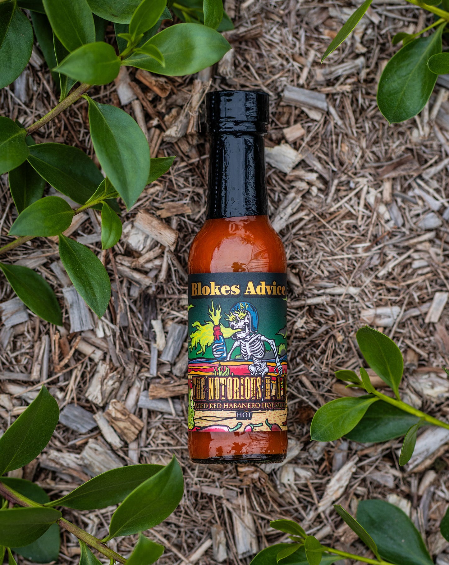 BA x 13 Angry Scorpions: The Notorious H.A.B